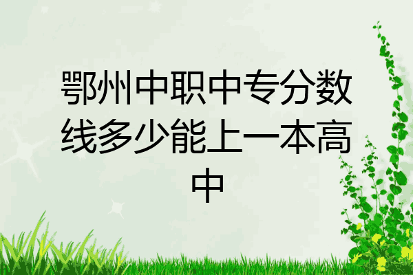 鄂州中职中专分数线多少能上一本高中