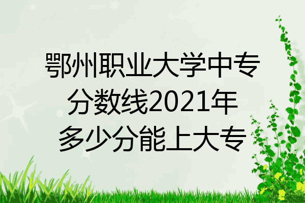 鄂州职业大学中专分数线2021年多少分能上大专