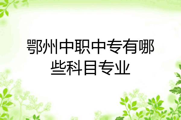 鄂州中职中专有哪些科目专业