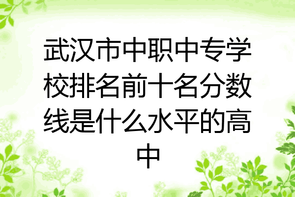 武汉市中职中专学校排名前十名分数线是什么水平的高中