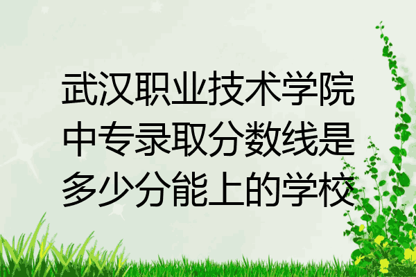 武汉职业技术学院中专录取分数线是多少分能上的学校