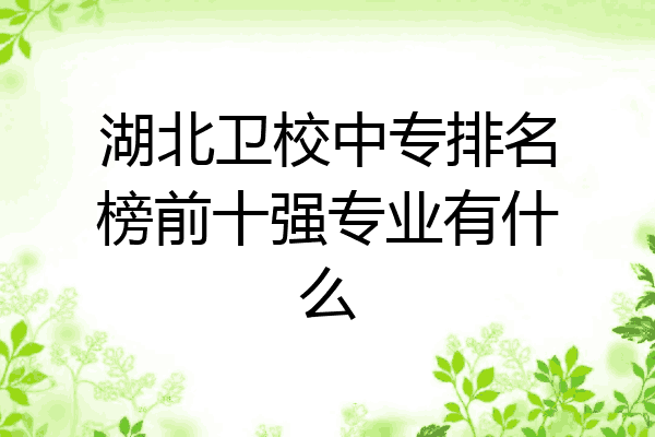 湖北卫校中专排名榜前十强专业有什么