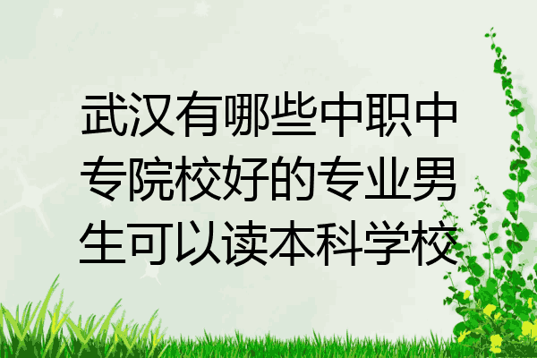 武汉有哪些中职中专院校好的专业男生可以读本科学校