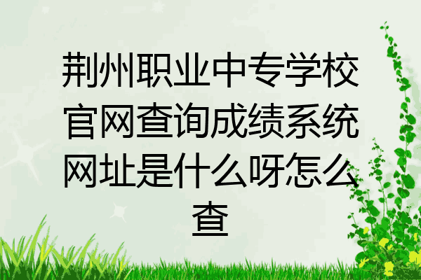 荆州职业中专学校官网查询成绩系统网址是什么呀怎么查