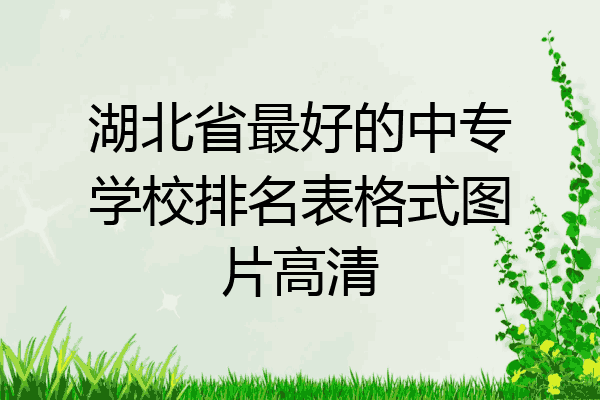 湖北省最好的中专学校排名表格式图片高清