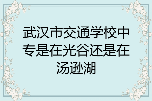 武汉市交通学校中专是在光谷还是在汤逊湖