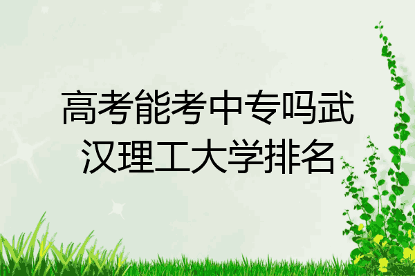 高考能考中专吗武汉理工大学排名