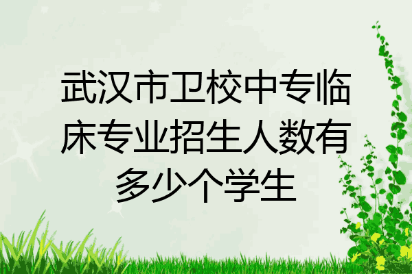 武汉市卫校中专临床专业招生人数有多少个学生