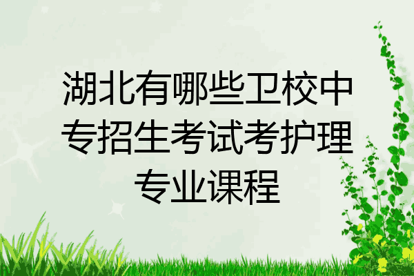 湖北有哪些卫校中专招生考试考护理专业课程