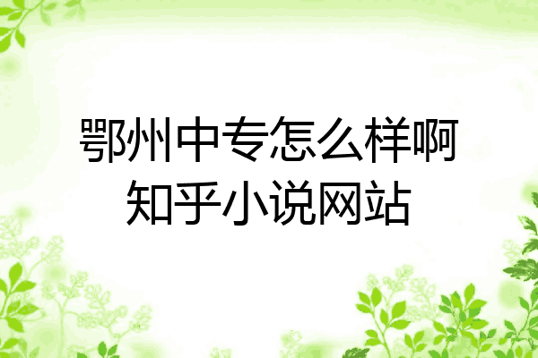 鄂州中专怎么样啊知乎小说网站