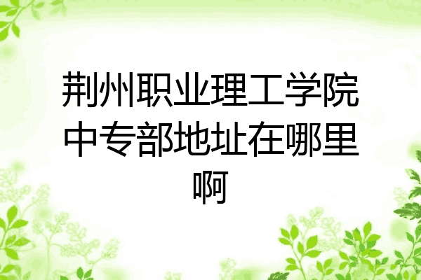 荆州职业理工学院中专部地址在哪里啊