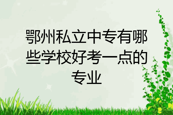 鄂州私立中专有哪些学校好考一点的专业