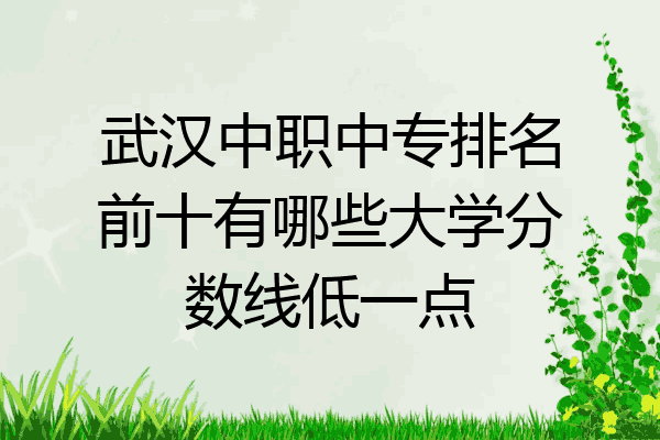 武汉中职中专排名前十有哪些大学分数线低一点