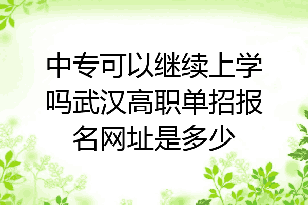 中专可以继续上学吗武汉高职单招报名网址是多少