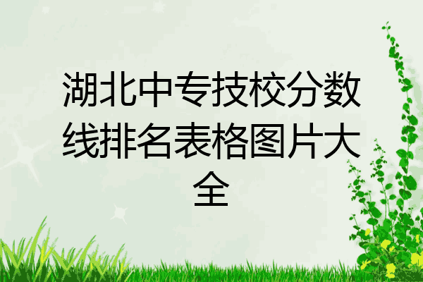 湖北中专技校分数线排名表格图片大全