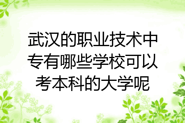 武汉的职业技术中专有哪些学校可以考本科的大学呢