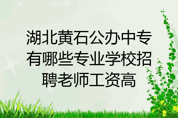 湖北黄石公办中专有哪些专业学校招聘老师工资高