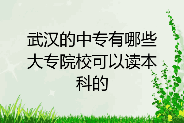 武汉的中专有哪些大专院校可以读本科的