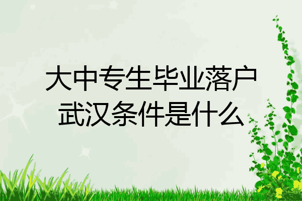 大中专生毕业落户武汉条件是什么