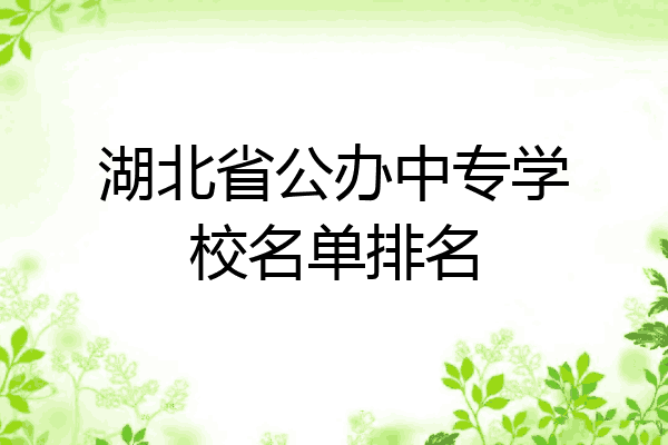 湖北省公办中专学校名单排名