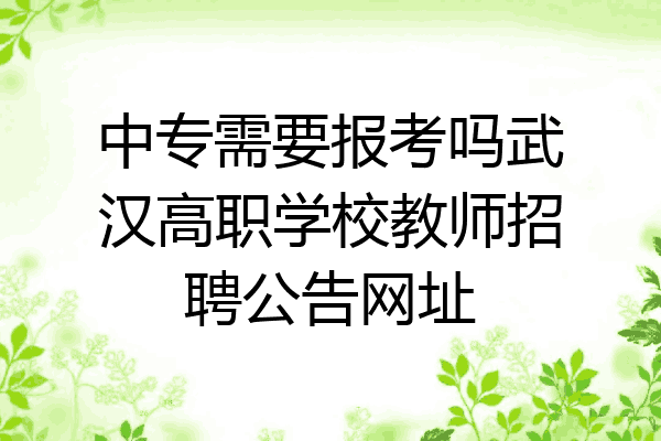 中专需要报考吗武汉高职学校教师招聘公告网址
