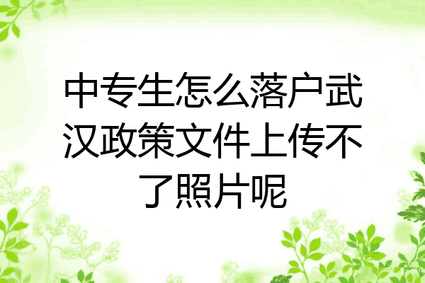 中专生怎么落户武汉政策文件上传不了照片呢