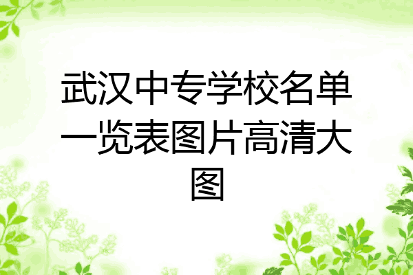 武汉中专学校名单一览表图片高清大图