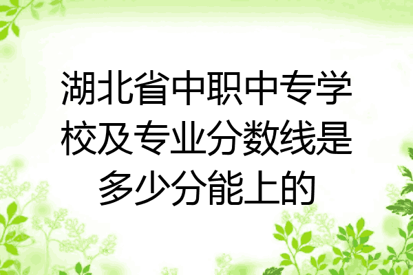 湖北省中职中专学校及专业分数线是多少分能上的