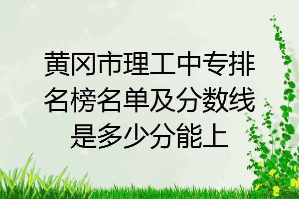 黄冈市理工中专排名榜名单及分数线是多少分能上