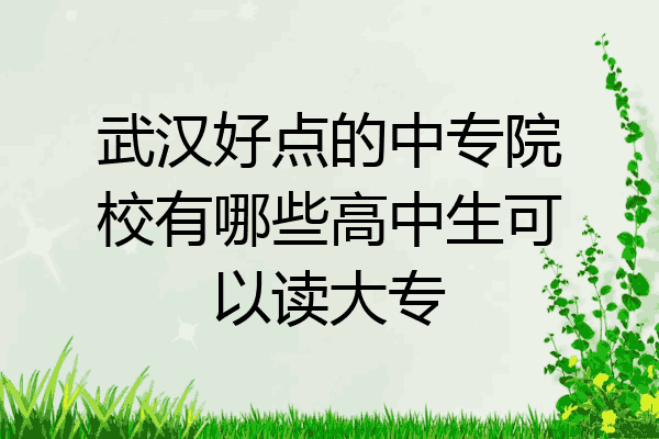 武汉好点的中专院校有哪些高中生可以读大专