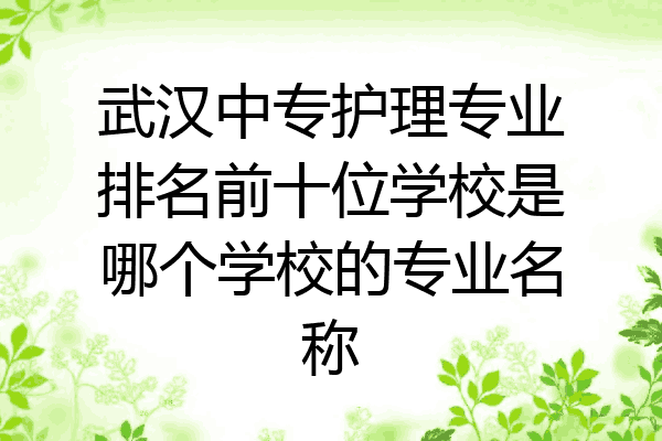 武汉中专护理专业排名前十位学校是哪个学校的专业名称