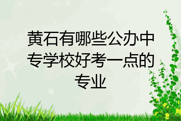 黄石有哪些公办中专学校好考一点的专业