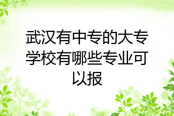 武汉有中专的大专学校有哪些专业可以报
