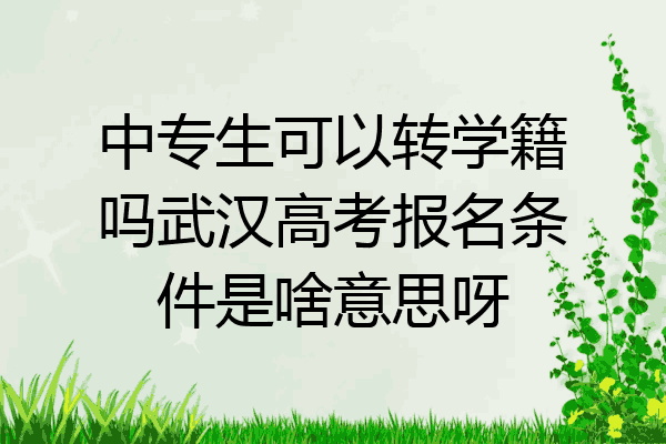 中专生可以转学籍吗武汉高考报名条件是啥意思呀