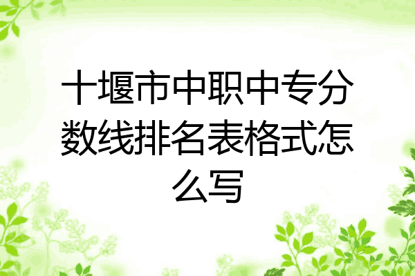 十堰市中职中专分数线排名表格式怎么写