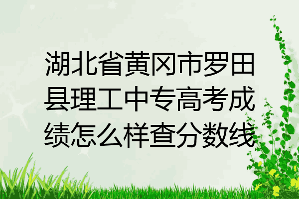 湖北省黄冈市罗田县理工中专高考成绩怎么样查分数线