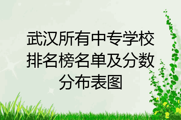 武汉所有中专学校排名榜名单及分数分布表图