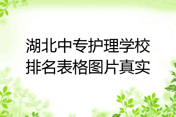 湖北中专护理学校排名表格图片真实