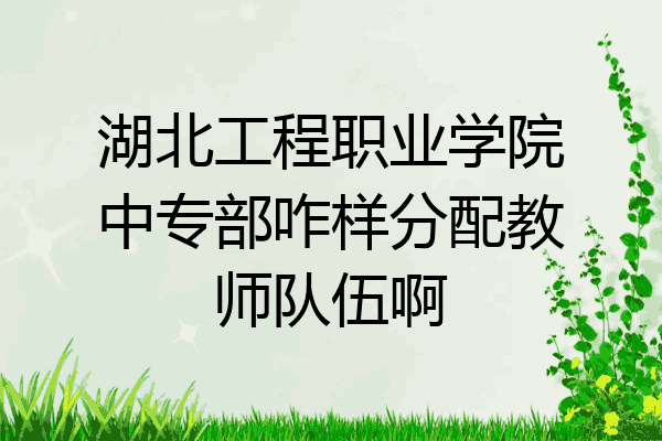 湖北工程职业学院中专部咋样分配教师队伍啊