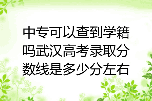 中专可以查到学籍吗武汉高考录取分数线是多少分左右