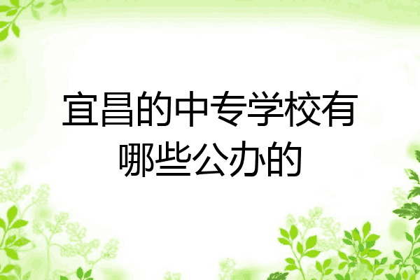 宜昌的中专学校有哪些公办的