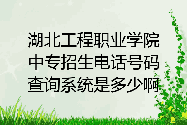 湖北工程职业学院中专招生电话号码查询系统是多少啊