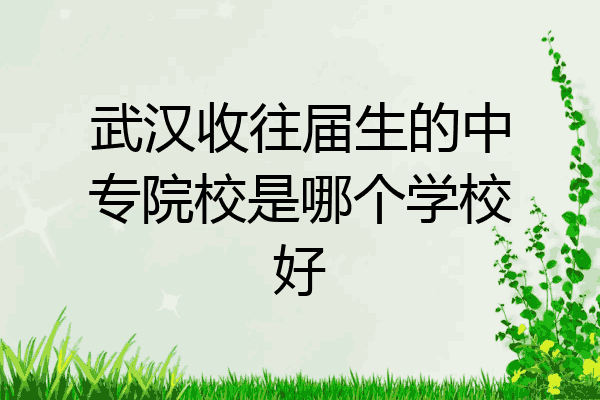 武汉收往届生的中专院校是哪个学校好