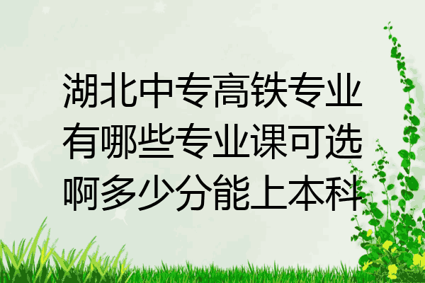 湖北中专高铁专业有哪些专业课可选啊多少分能上本科