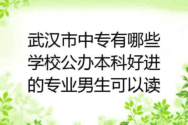 武汉市中专有哪些学校公办本科好进的专业男生可以读