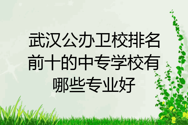 武汉公办卫校排名前十的中专学校有哪些专业好