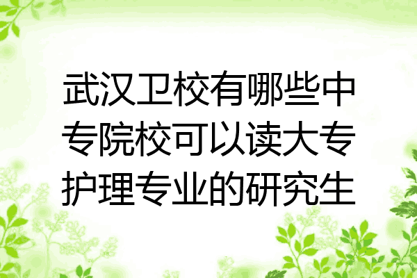 武汉卫校有哪些中专院校可以读大专护理专业的研究生