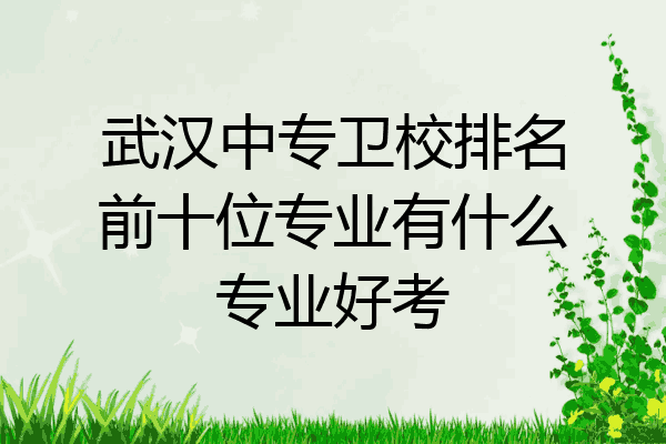 武汉中专卫校排名前十位专业有什么专业好考