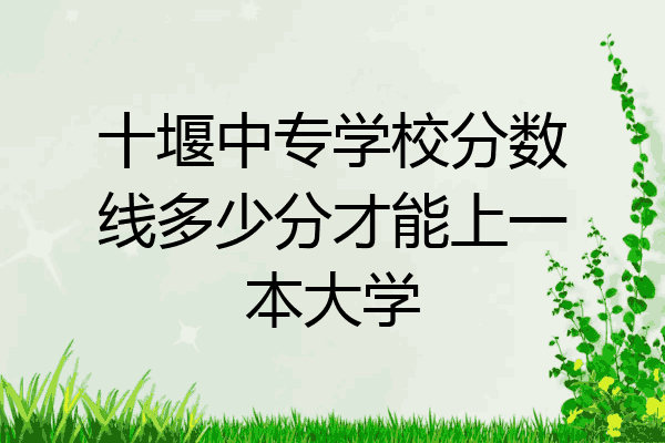 十堰中专学校分数线多少分才能上一本大学