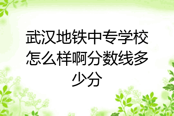武汉地铁中专学校怎么样啊分数线多少分